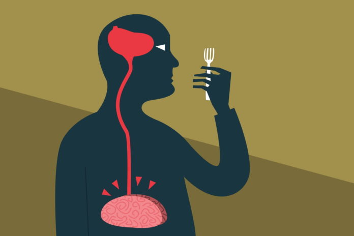 Гормон голода грелин может в иных случаях нарушать когнитивные способности - 1Informer | новости, гаджеты, технологии
